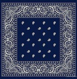 Paisley Bandanas