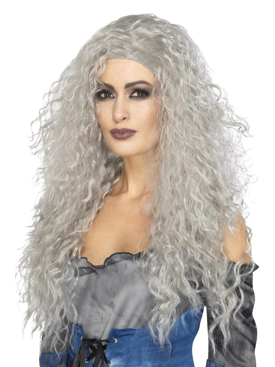 Grey Wild Banshee Wig – Fancy Dress Box