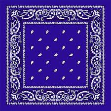 Paisley Bandanas