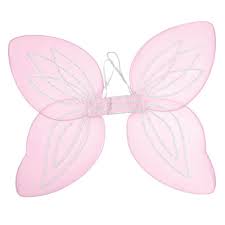 Pink Fairy Wings and Want