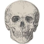 Skull Napkins