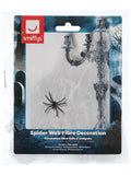 Small Spider Web