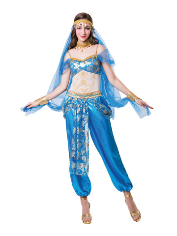 Princess Jasmine / Arabian Costume