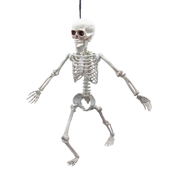 Poseable Skeleton - 90 cm