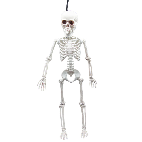 Poseable Skeleton