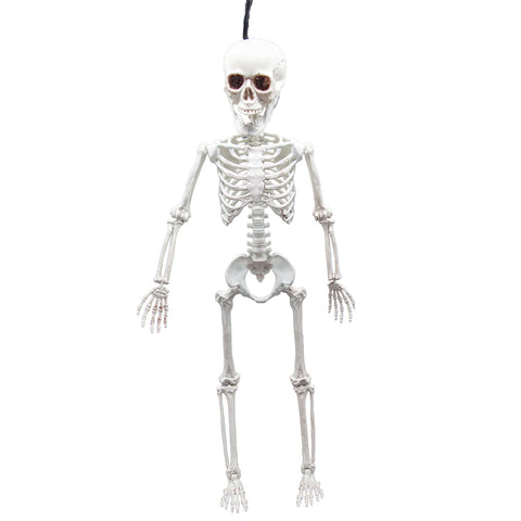 Poseable Skeleton - 60 cm