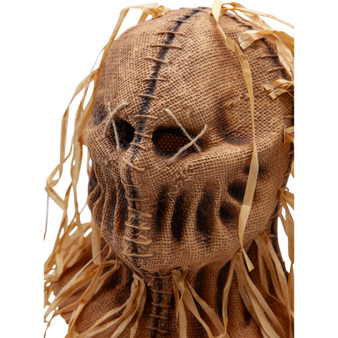 Scarecrow Mask