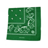 Paisley Bandanas