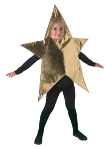 Christmas Star – Fancy Dress Box