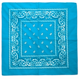Paisley Bandanas