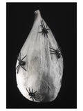 Animated Hanging Spider Larva
