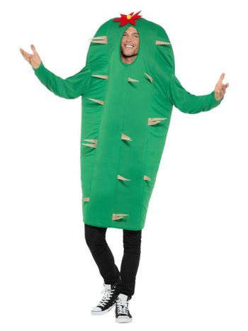 Cactus Costume