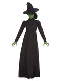 Wicked Witch