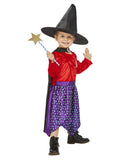 Room on the Broom Costume