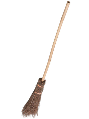 Small Witch Broom