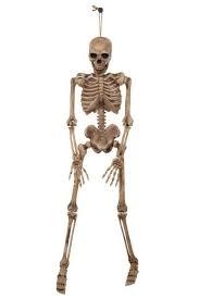 Skeleton - 42 inches