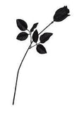 Black Rose