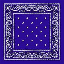 Paisley Bandanas