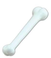 Plastic Bone