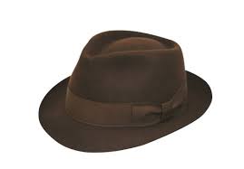 Brown Trilby Hat