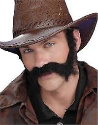 Wild West Sideburns Wild West Sideburns