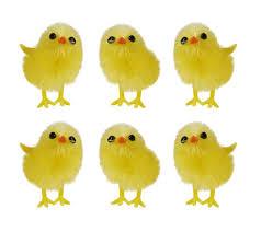 Mini Yellow Chicks