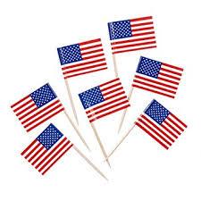 USA Flag Picks