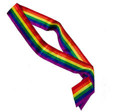 Pride Party Rainbow Sash