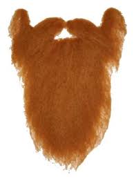Huge Scotsman Beard