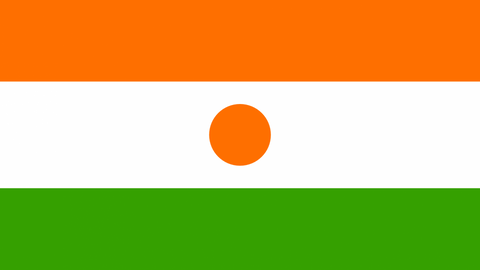 Niger Flag