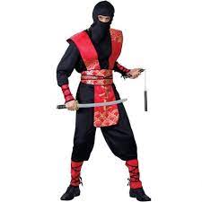 Ninja Master Costume