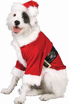 Pet Santa Claus Costume