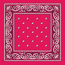 Paisley Bandanas