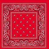 Paisley Bandanas