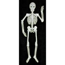Glow in the Dark Skeleton
