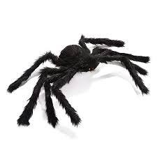 Large Spider - 2 Pack