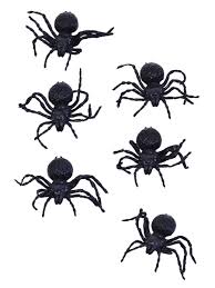 Small Black Spiders