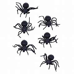 Creepy Spider Set