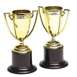 Gold or Silver Mini Trophy