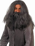 Grey Wizard Wig and Beard