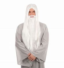 Wizard Wig and Beard